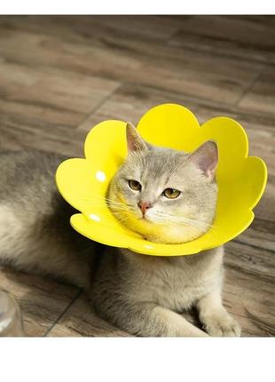 Воротник-ошейник "для заживления ран" для собак и кошек yellow flower size l4 фото