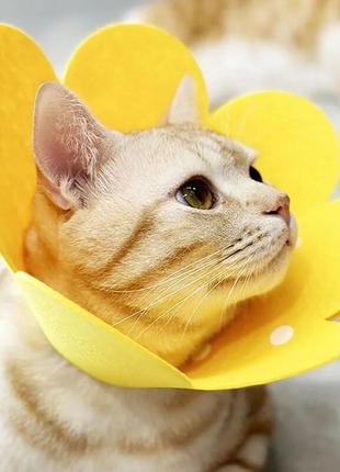 Воротник-ошейник "для заживления ран" для собак и кошек yellow flower size l2 фото