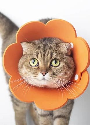 Воротник-ошейник "для заживления ран" для собак и кошек orange flower size м