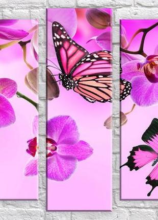 Модульна картина на полотні з 5-ти частин "метелики на орхідеях"