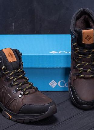 Мужские зимние кожаные ботинки colum chocolate6 фото