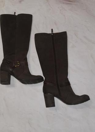 Сапоги, сапоги кожа