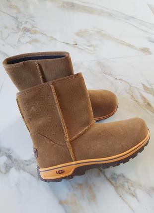 Сапоги зимние,  угги, ugg  оригинал