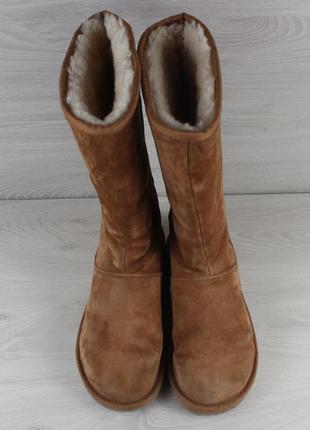 Зимові замшеві жіночі чоботи уггі ugg australia, розмір 402 фото