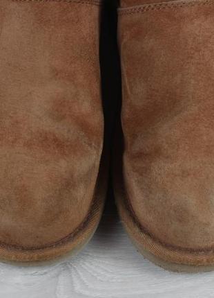 Зимові замшеві жіночі чоботи уггі ugg australia, розмір 403 фото