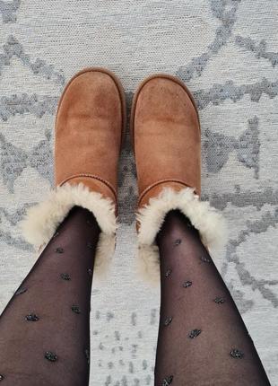 Замшевые сапоги ugg2 фото