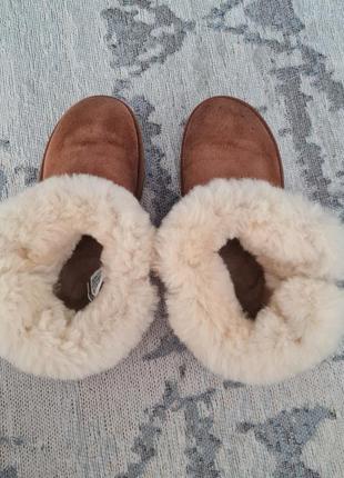 Замшевые сапоги ugg3 фото