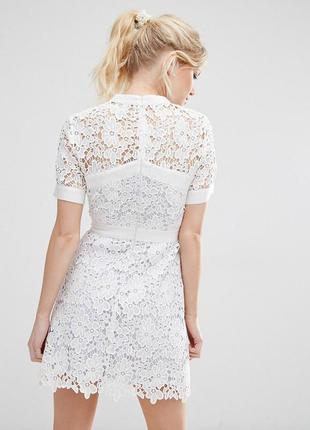 Asos короткий приталене мереживне плаття з контрастною підкладкою