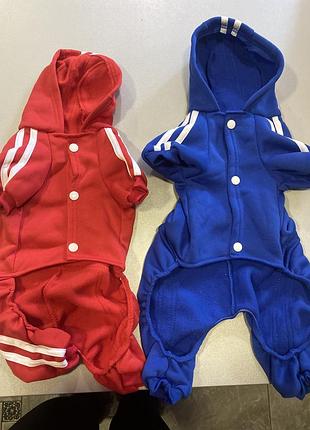 Комбінезон