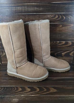 Ugg 5815 classic tall оригинальные сапоги