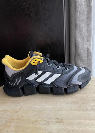 Кросівки adidas climacool