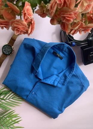 👔чоловіча синя сорочка в стилі gucci/ділова сорочка/приталені чоловіча сорочка/сорочка в офіс👔
