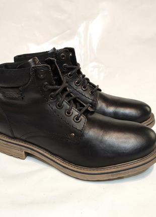 Черевики AM Shoe Company