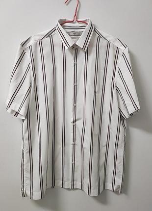 Тенниска мужская белая в полоску mango, размер xl