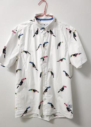 Тенниска мужская белая принт плашки rvlt revolution, размер l