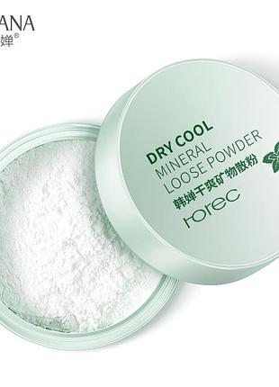 Акция!!! бесцветная матирующая минеральная пудра рассыпчатая rorec dry cool mineral loose powder 5 г5 фото