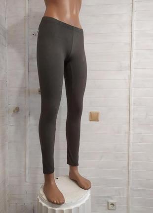 Милые  натуральные лосины