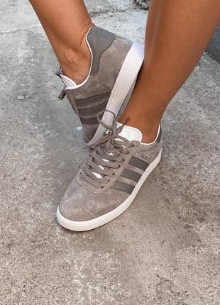 Кросівки adidas gazelle сірий