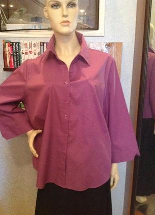 Чудова сорочка (блуза) бренду marks&spencer, р. 62-644 фото