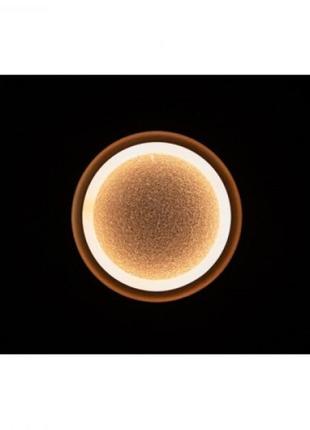 Светильник настенно потолочный светодиодный led 20 см linisoln 4017-2001 фото