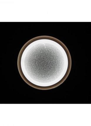 Светильник настенно потолочный светодиодный led 20 см linisoln 4017-2002 фото