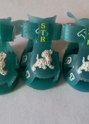 Босоніжки на маленьку собачку.3 шт.