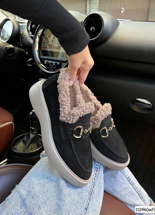 Лофери тедді