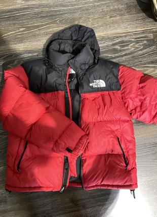 Куртка мужская tnf