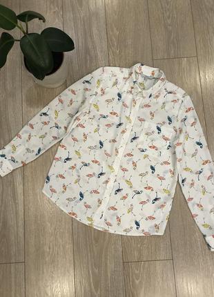 Рубашка блузка в фламинго2 фото