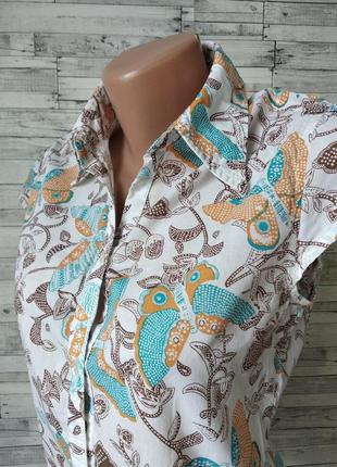 Блузка garcia жіноча в метелика4 фото
