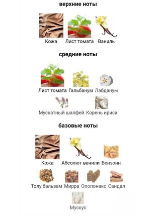 Парфюм унисекс italian leather от memo 👉 пробник 2мл3 фото