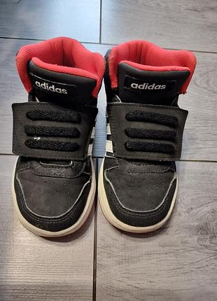 Хайтопи adidas
