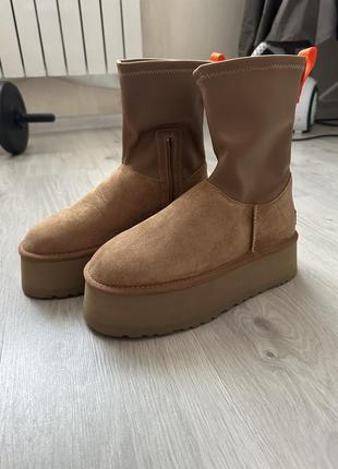 Uggs новые