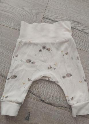 Детские брюки лосины для новорожденных h&amp;m2 фото