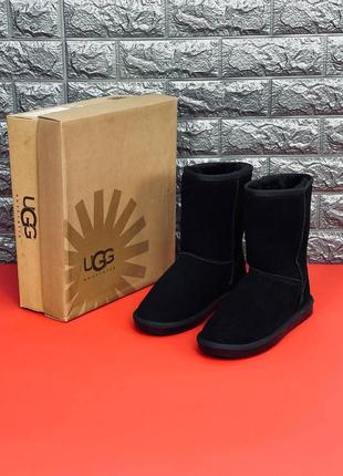 Мужские угги ugg australia чёрные угги зимние на меху