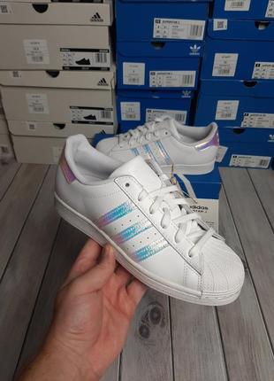 Оригінальні жіночі кросівки adidas superstar fv31392 фото