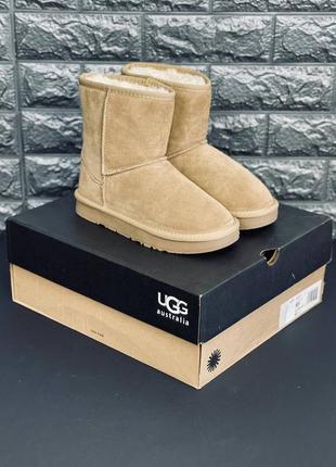 Женские угги  ugg australia угги зимние на меху