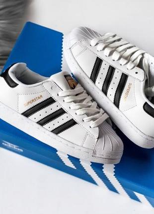 Трендові жіночі кросівки adidas superstar білі з чорними смужками