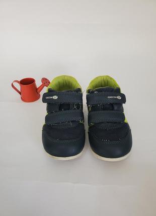 Детские анатомические кроссовки для мальчика от geox2 фото