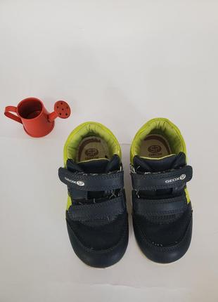 Детские анатомические кроссовки для мальчика от geox3 фото