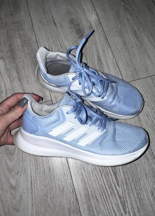 Кросівки аdidas