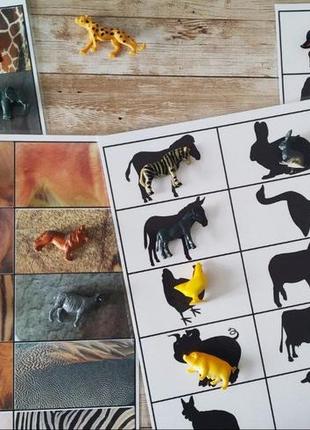 Монтессори набор для изучения животных с карточками домана1 фото