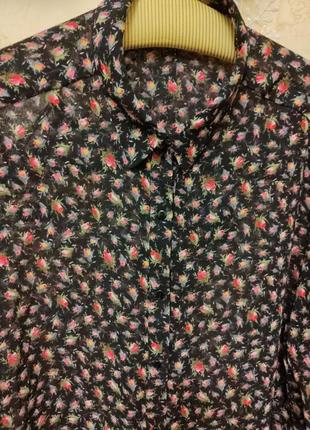 Красивая блузка в розочку zara2 фото