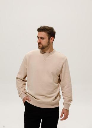 Чоловічий світшот