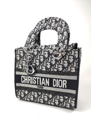 Dior d-lite grey black