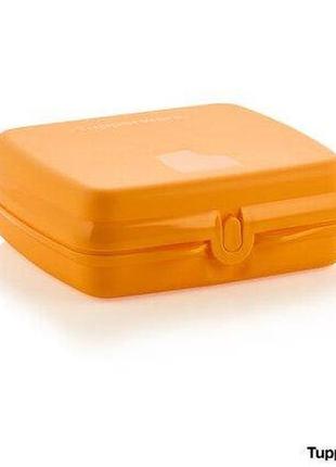 Ланч-бокс оранжевый

tupperware