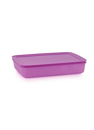 Охлаждающий лоток (2,25 л) фиолетовый

tupperware