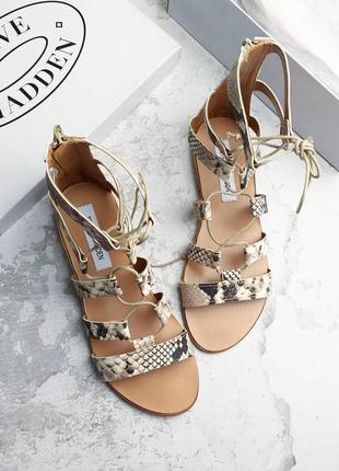 Steve madden оригинал кожаные сандалии гладиаторы2 фото