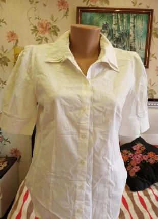 Гарна ,білосніжна рубашка- блузка рукав фонарик.2 фото
