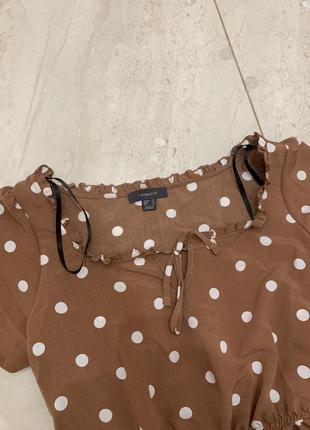 Блуза блузка primark в горох коричнева3 фото